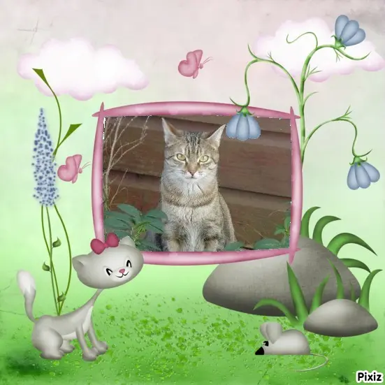 Condolence image of Post von Bunny ❤️