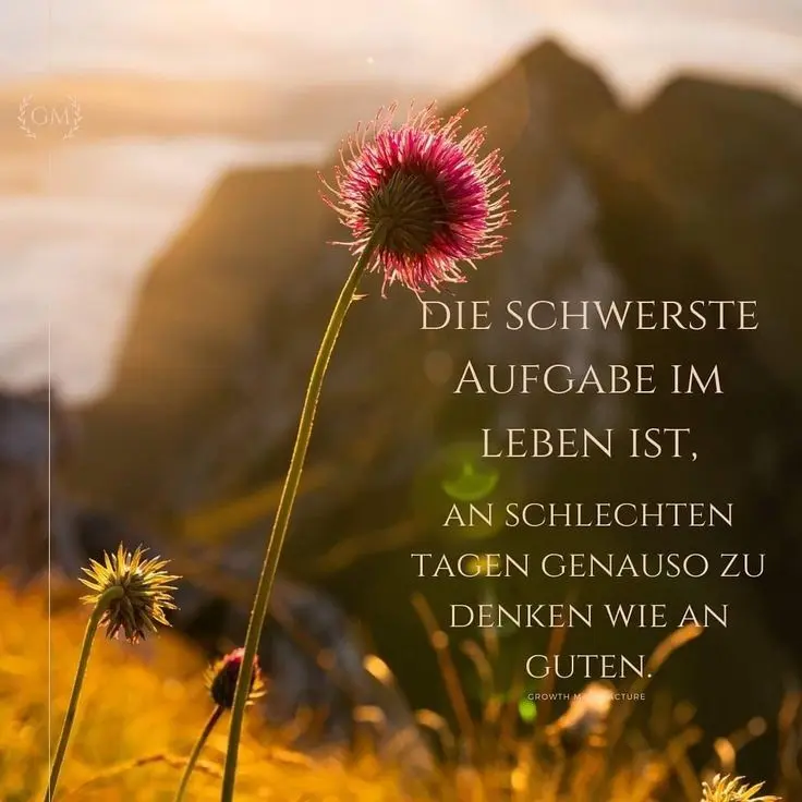 Condolence image of Pauline an Marpelchen und Mami Elisabeth