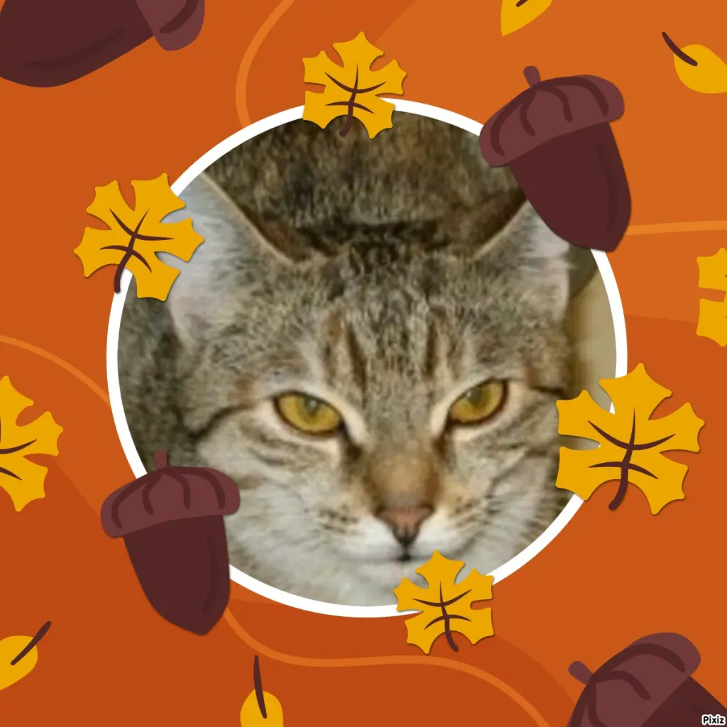 Condolence image of Tanja mit Timmy im Herzen