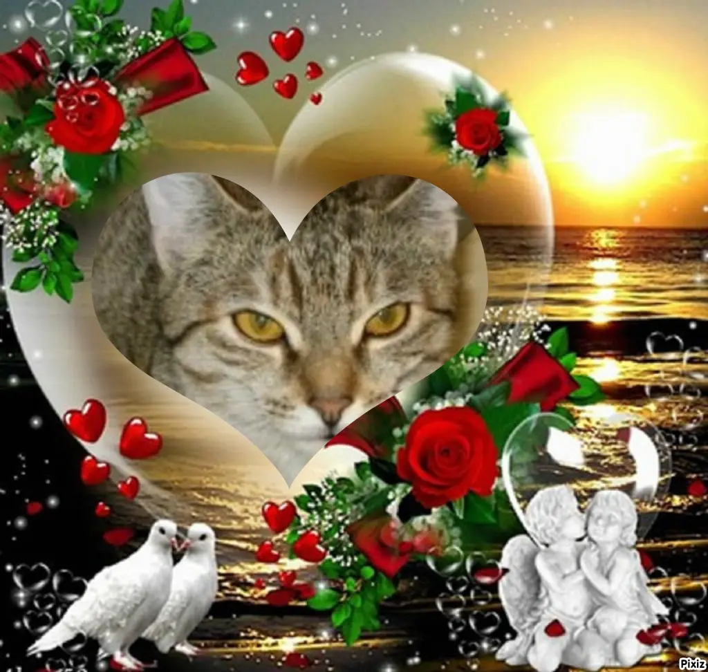 Condolence image of Tanja mit Timmy im Herzen