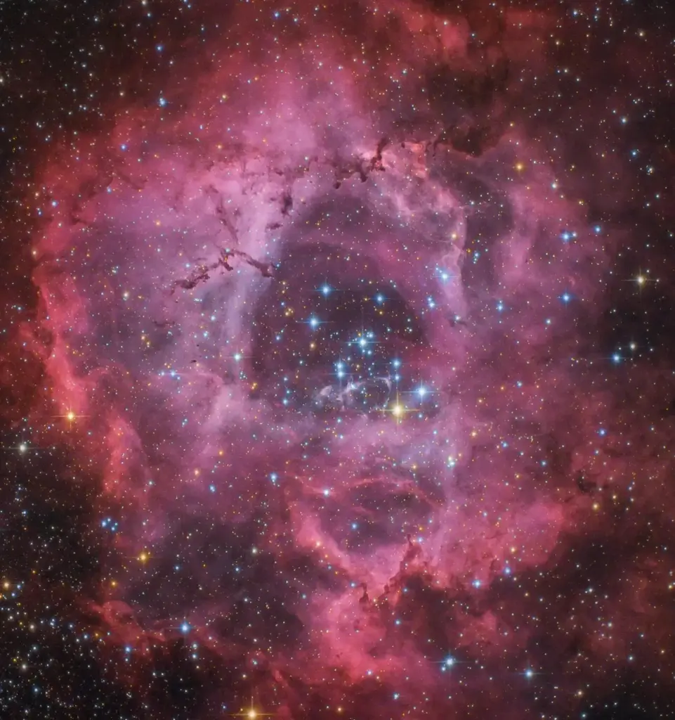 Condolence image of Brief an Marple