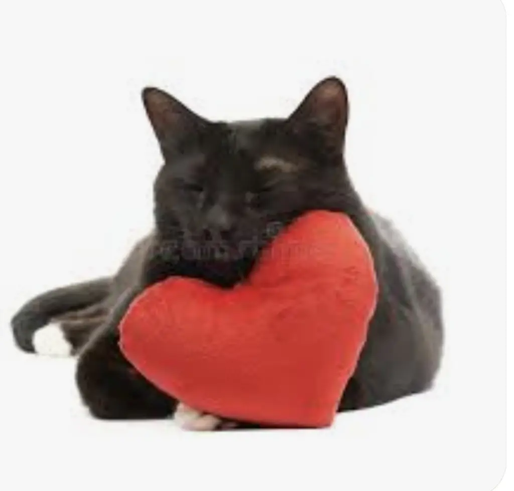 Condolence image of Benny