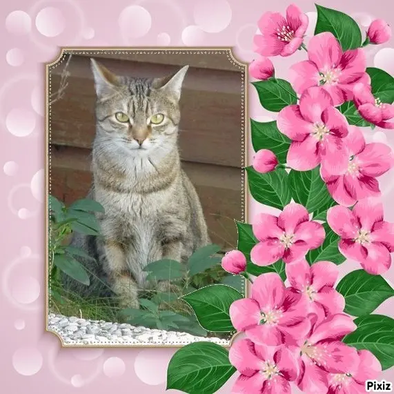 Condolence image of Patricia mit Bunny ❤️ 