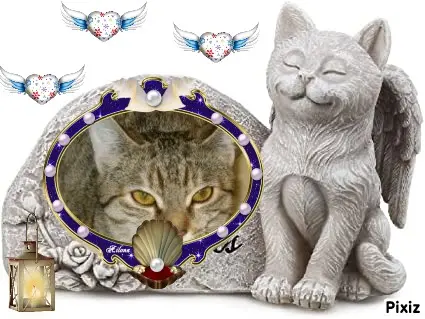 Condolence image of Tanja mit Timmy im Herzen 