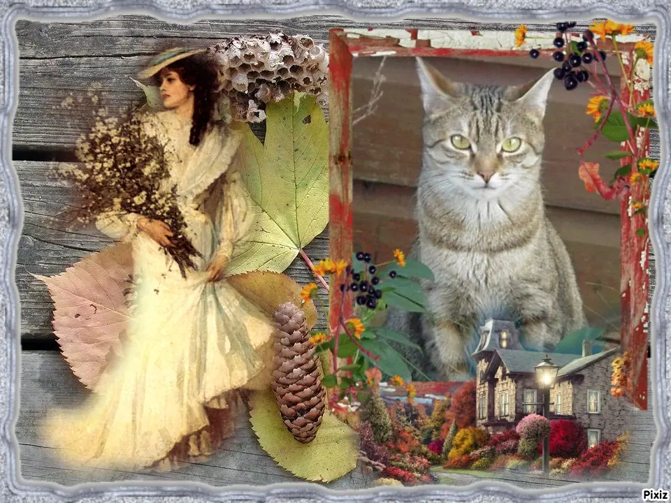 Condolence image of Sternchenpost ⭐