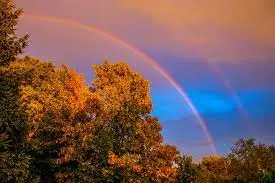 Condolence image of für meinen Stern ♥