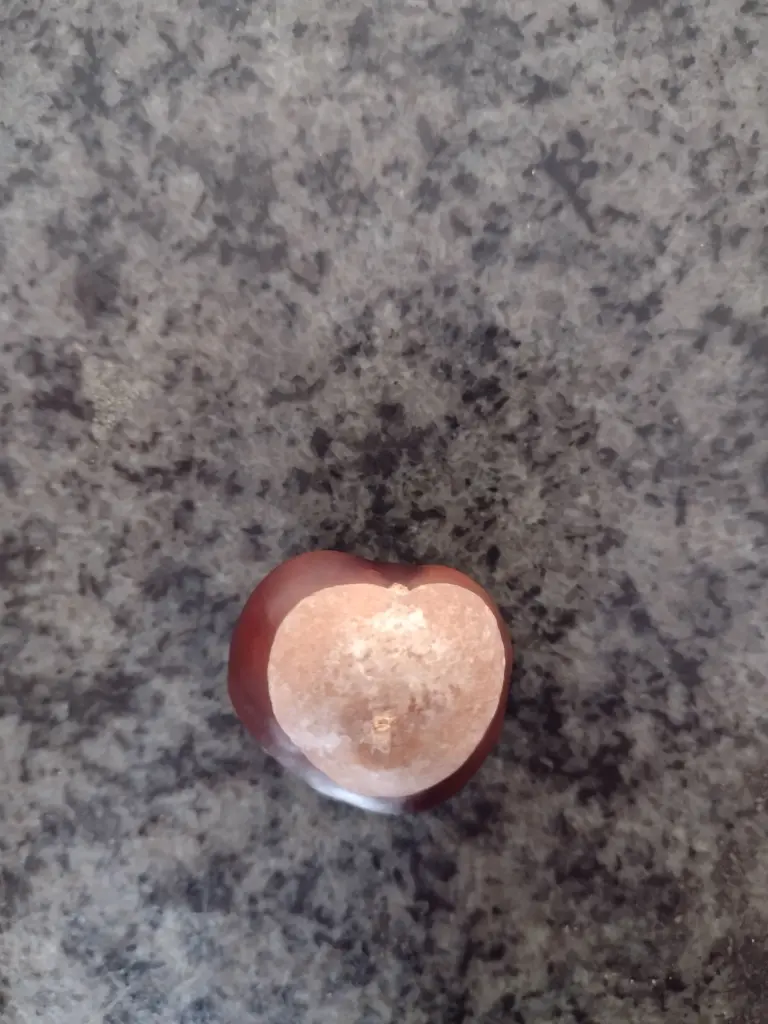 Condolence image of Corinna mit Emma, Pummelchen und anderen Sternleine im Herzen