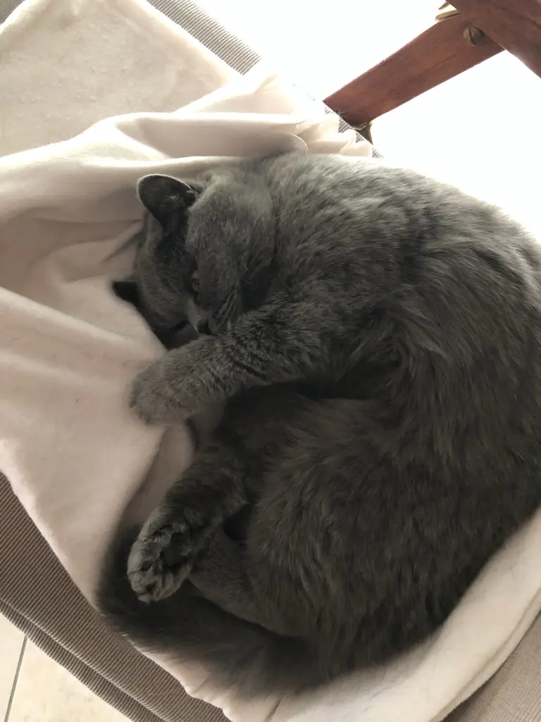 Condolence image of An Marple und Mama Elisabeth ❤️