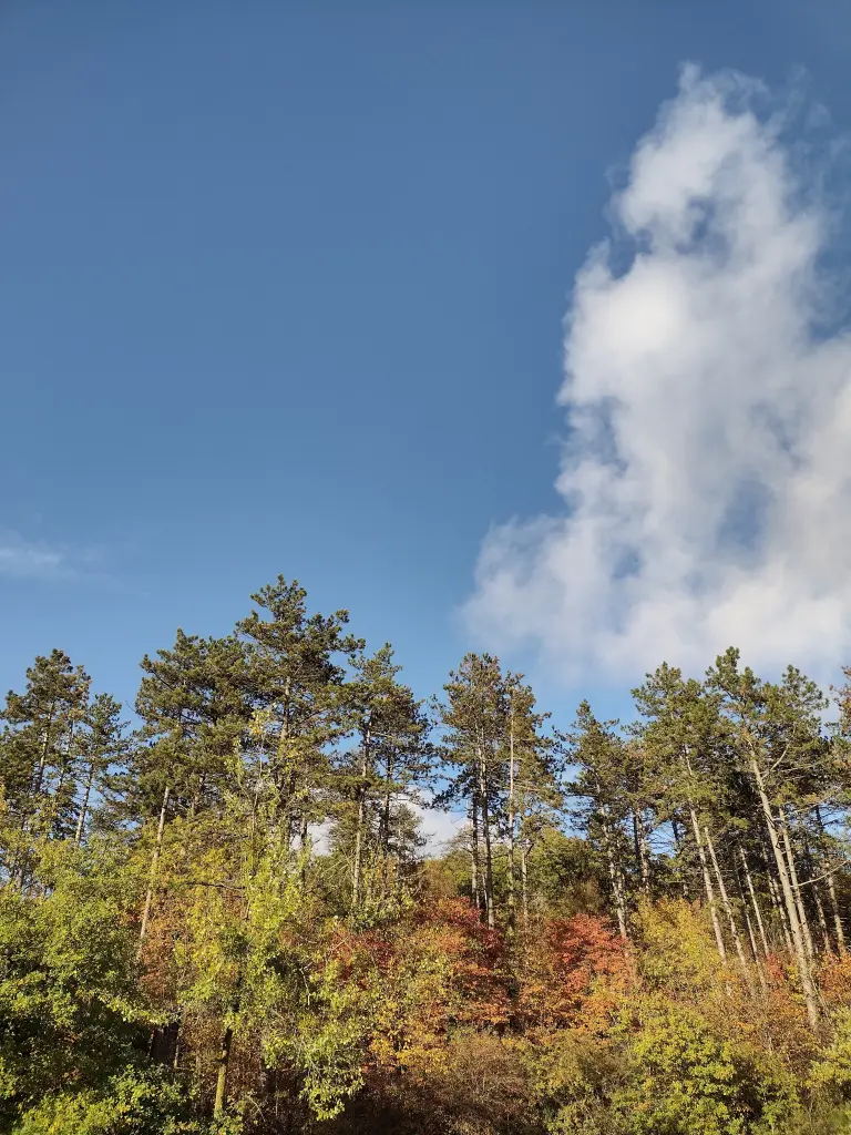 Condolence image of Corinna mit Emma, Pummelchen und anderen Sternlein im ❤️