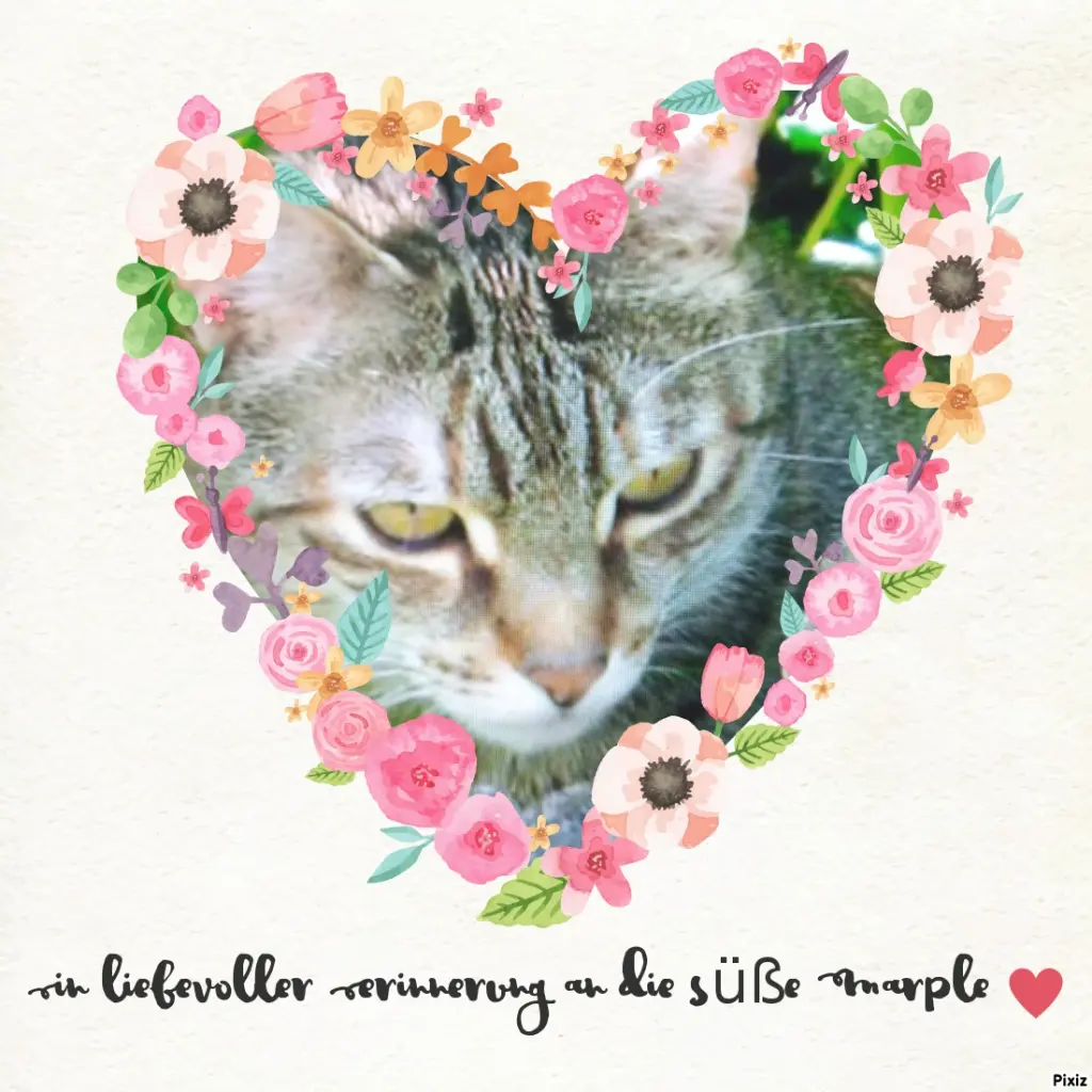 Condolence image of Für Dich kleine Marple ❤️