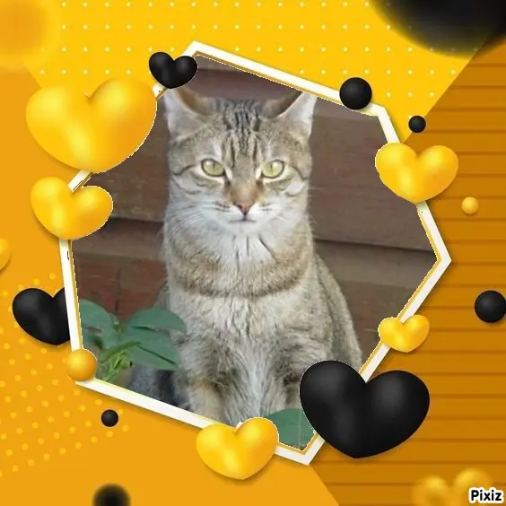 Condolence image of Patricia mit Bunny ❤️ 