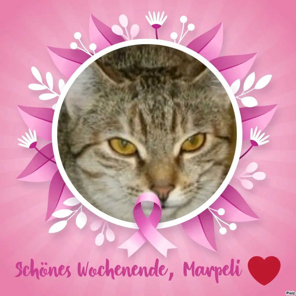 Condolence image of Tanja mit Timmy im Herzen 