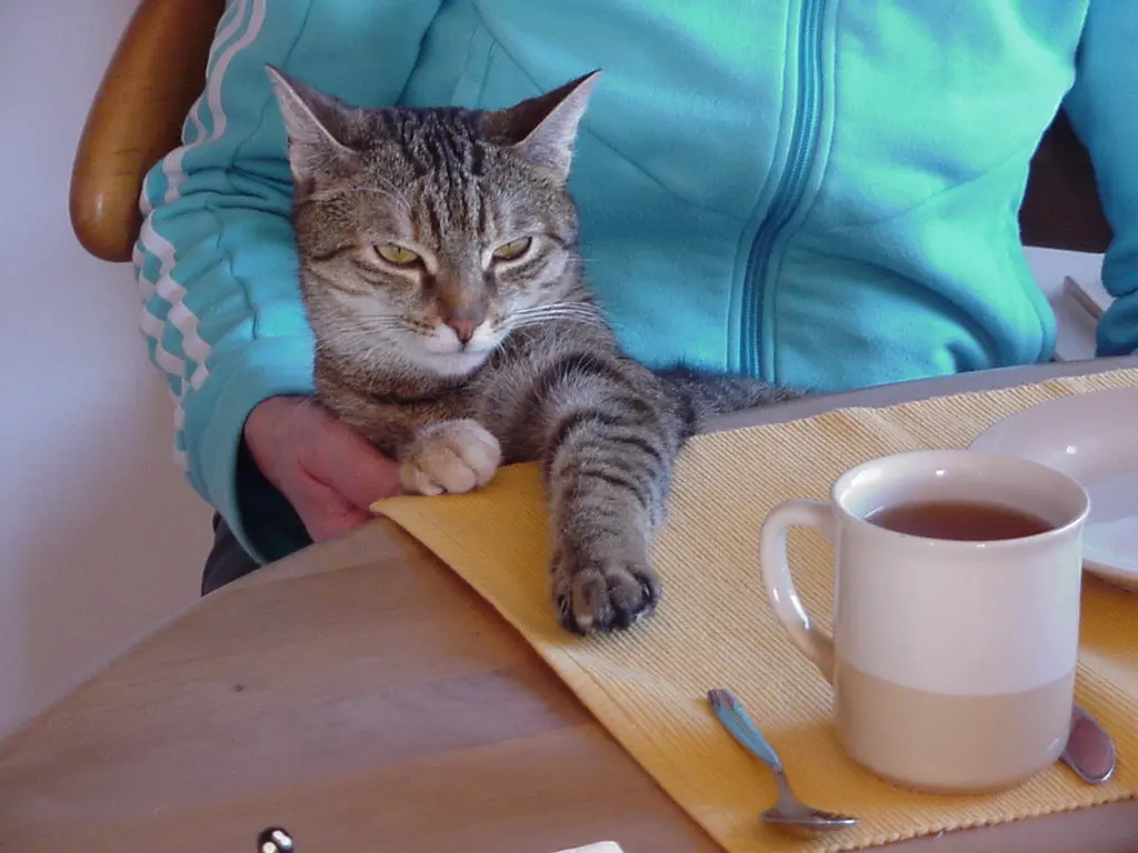 Condolence image of für meine Kleine