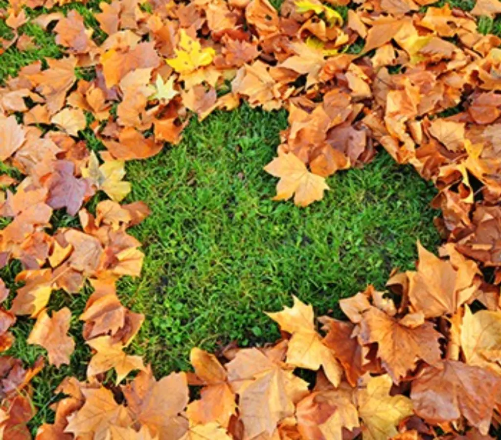 Condolence image of Marple und Pauline für Mami Elisabeth ❤️