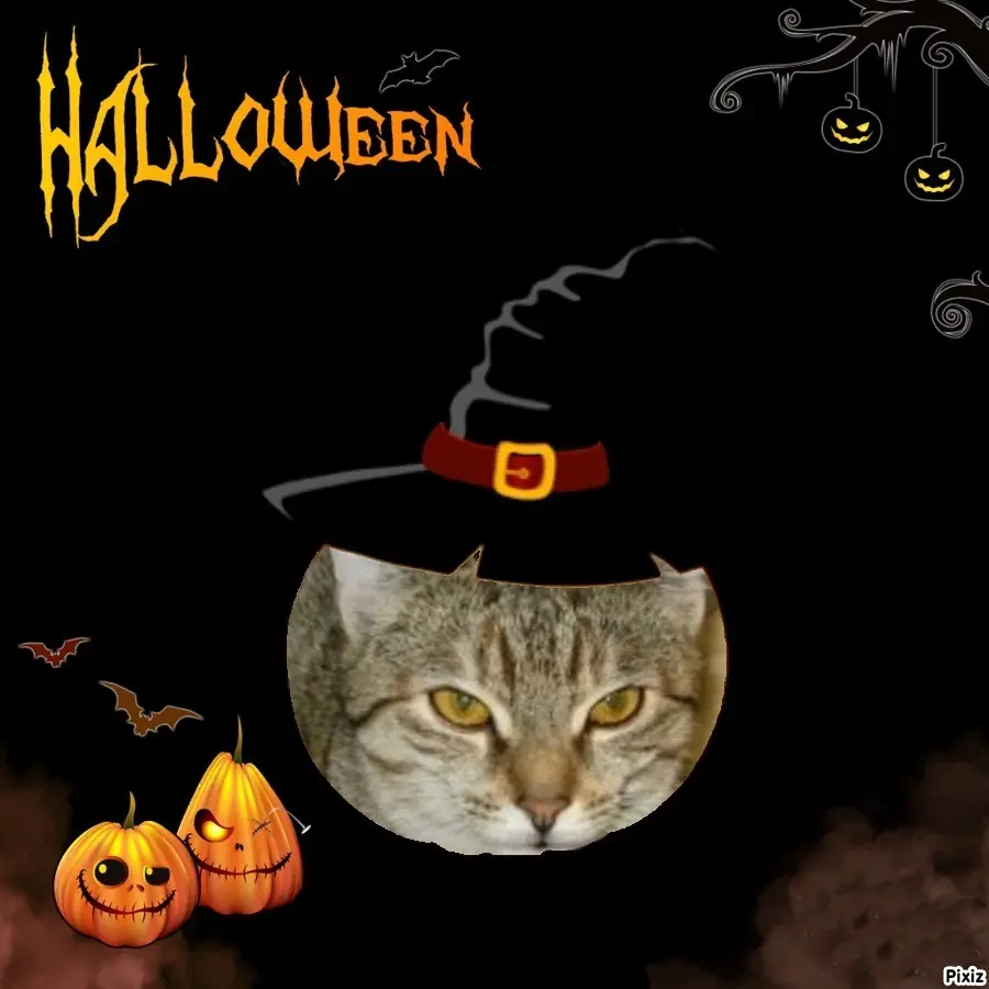 Condolence image of Tanja mit Timmy im Herzen 