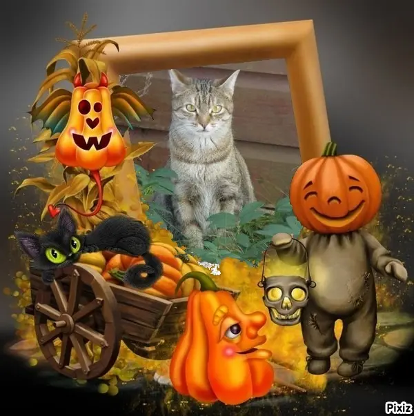 Condolence image of Patricia mit Bunny ❤️ 