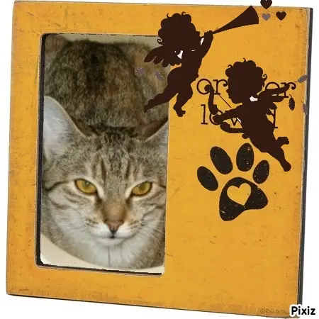 Condolence image of Tanja mit Timmy im Herzen 