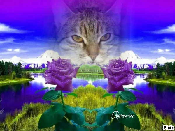 Condolence image of Tanja mit Timmy im Herzen 