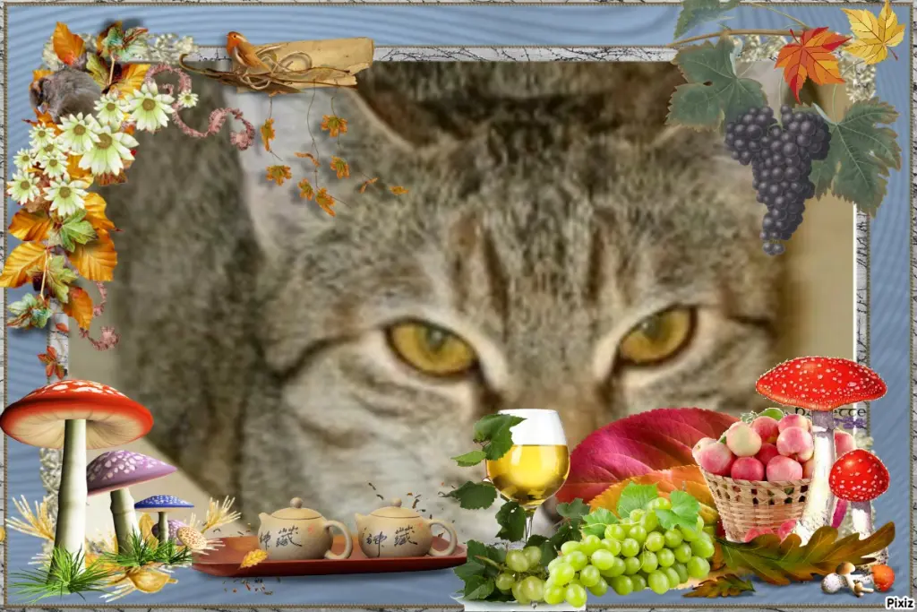 Condolence image of Tanja mit Timmy im Herzen 