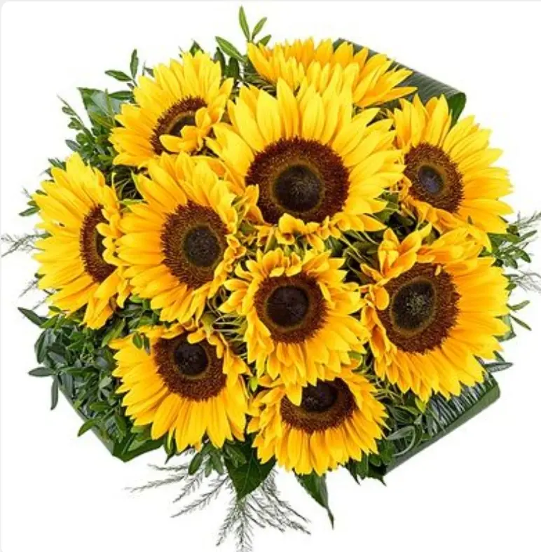 Condolence image of Unbekannt