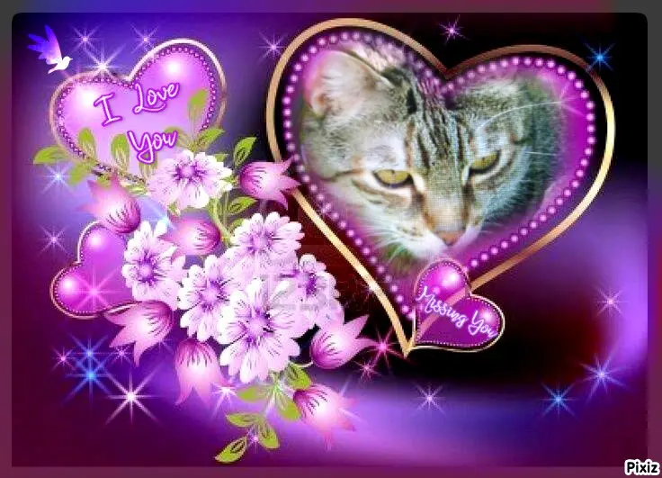 Condolence image of Für Dich kleines Sternchen Marpelchen ♥️