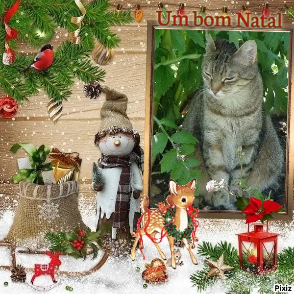 Condolence image of Advendsgrüße ❤️