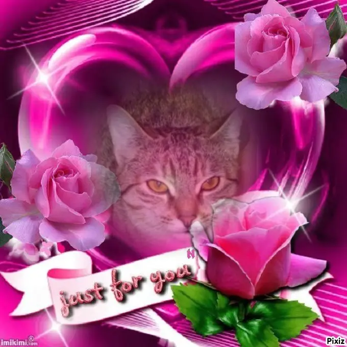 Condolence image of Tanja mit Timmy im Herzen