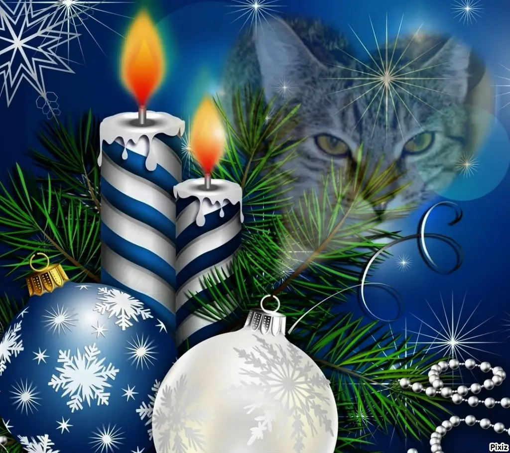 Condolence image of Tanja mit Timmy im Herzen