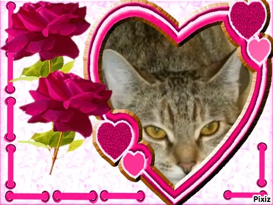 Condolence image of Tanja mit Timmy im Herzen