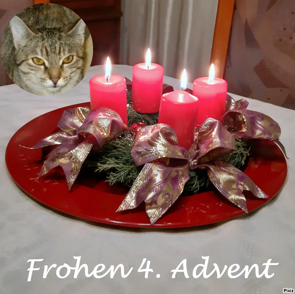 Condolence image of Tanja mit Timmy im Herzen