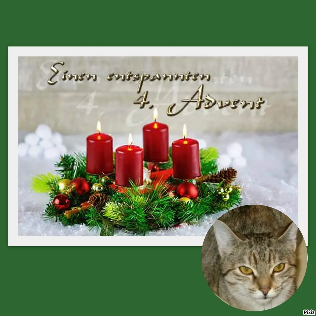 Condolence image of Tanja mit Timmy im Herzen