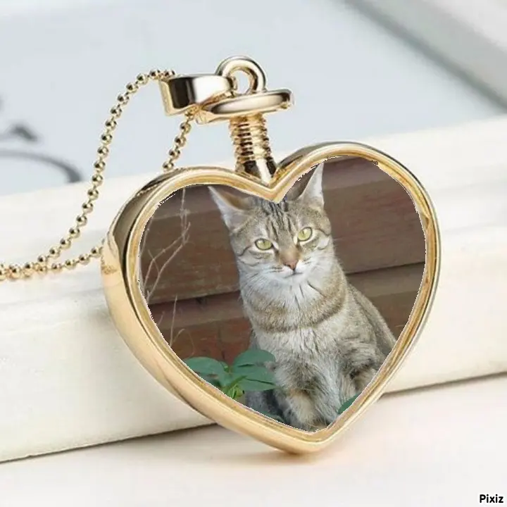 Condolence image of Patricia mit Bunny ❤️