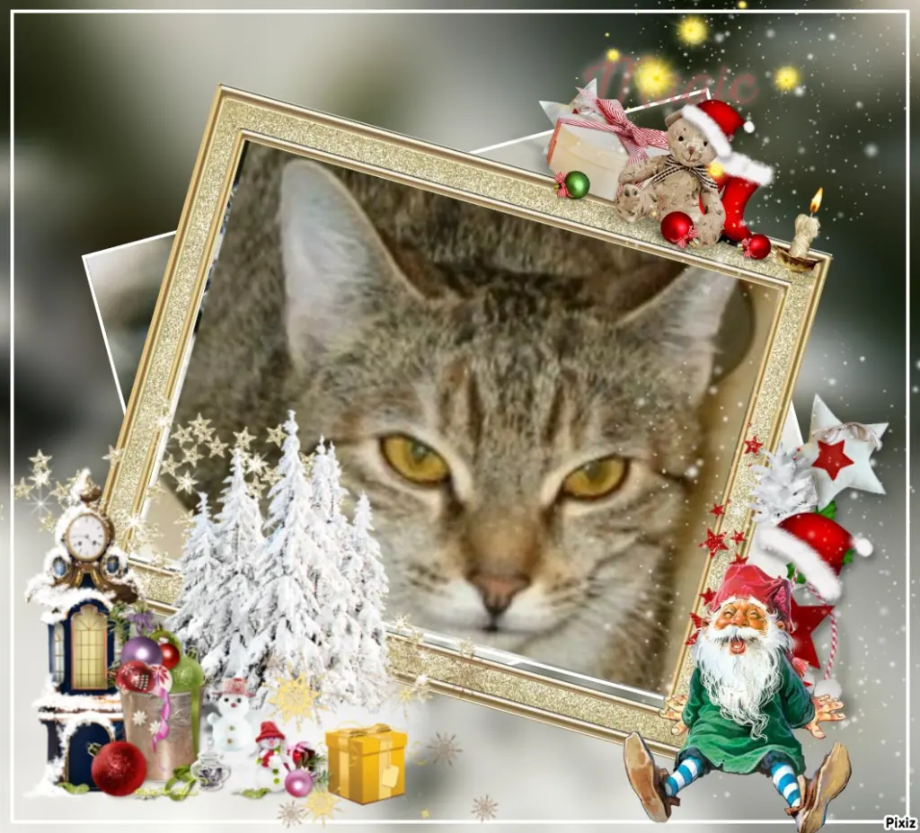 Condolence image of Tanja mit Timmy im Herzen