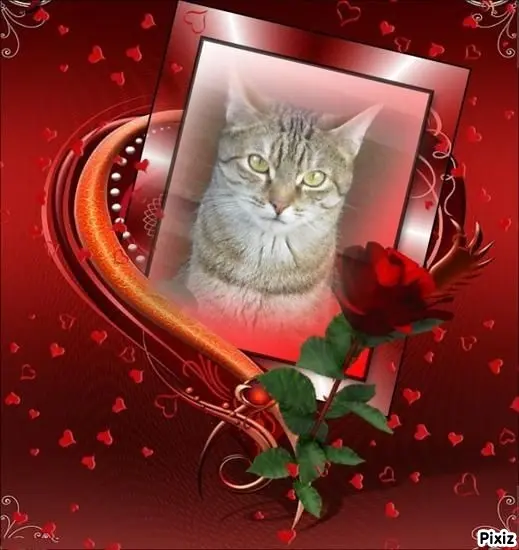 Condolence image of Patricia mit Bunny ❤️