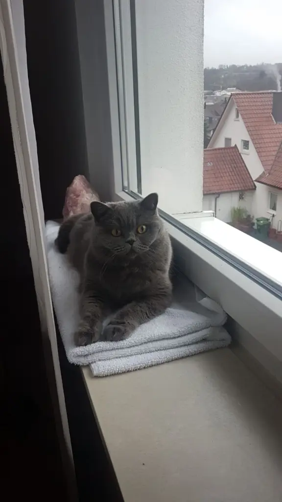 Condolence image of Emma an Marple