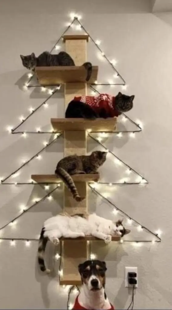 Condolence image of Corinna mit Emma, Pummelchen und anderen Sternlein im ❤️