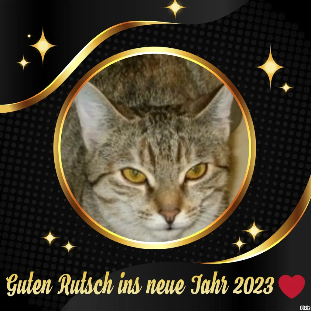 Condolence image of Tanja mit Timmy im Herzen