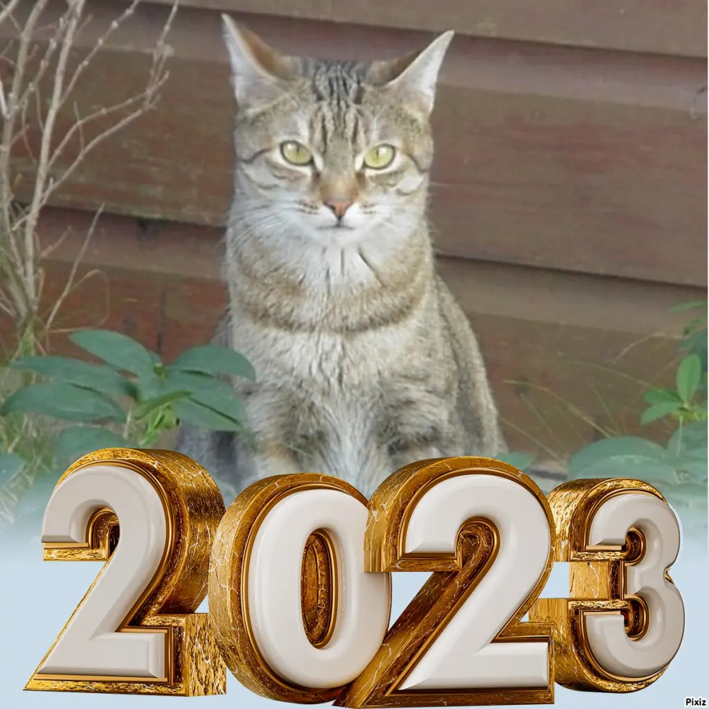 Condolence image of Neujahrsgrüße ❤️