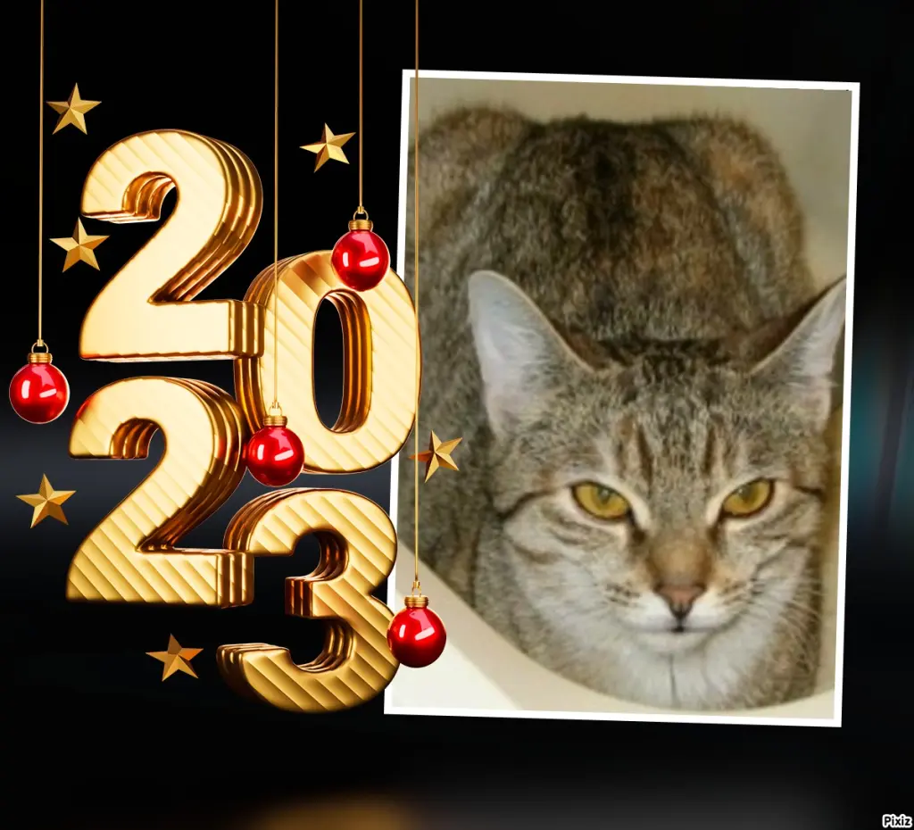 Condolence image of Neujahrsgrüße von Timmys Mutti Tanja an Sternenprinzessin Marpeli ❤ und Mami Elisabeth ❤