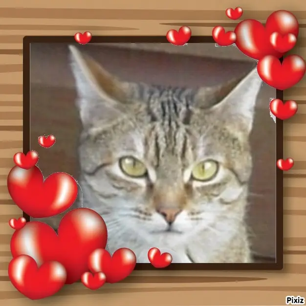 Condolence image of Patricia mit Bunny ❤️