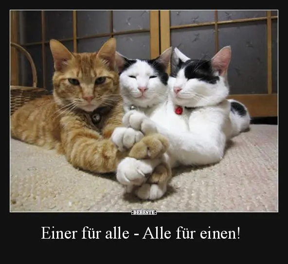 Condolence image of Unbekannt