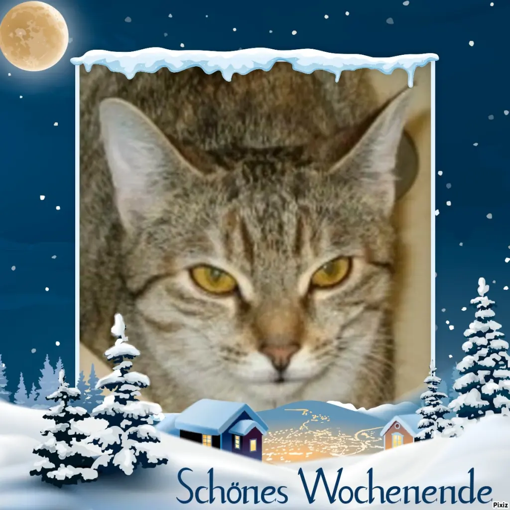 Condolence image of Tanja mit Timmy im Herzen