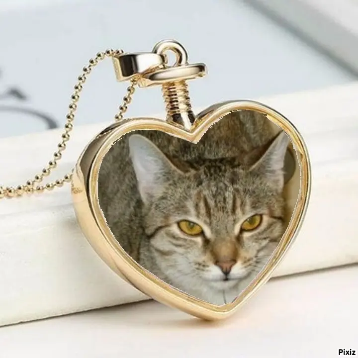 Condolence image of Tanja mit Timmy im Herzen