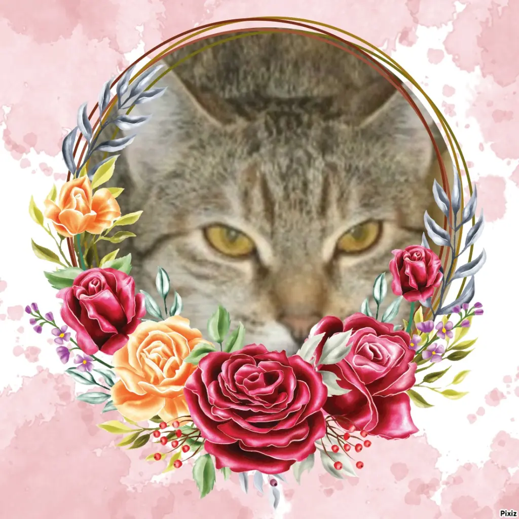 Condolence image of Tanja mit Timmy im Herzen