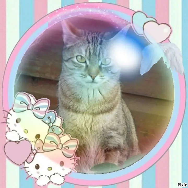 Condolence image of Patricia mit Bunny ❤️