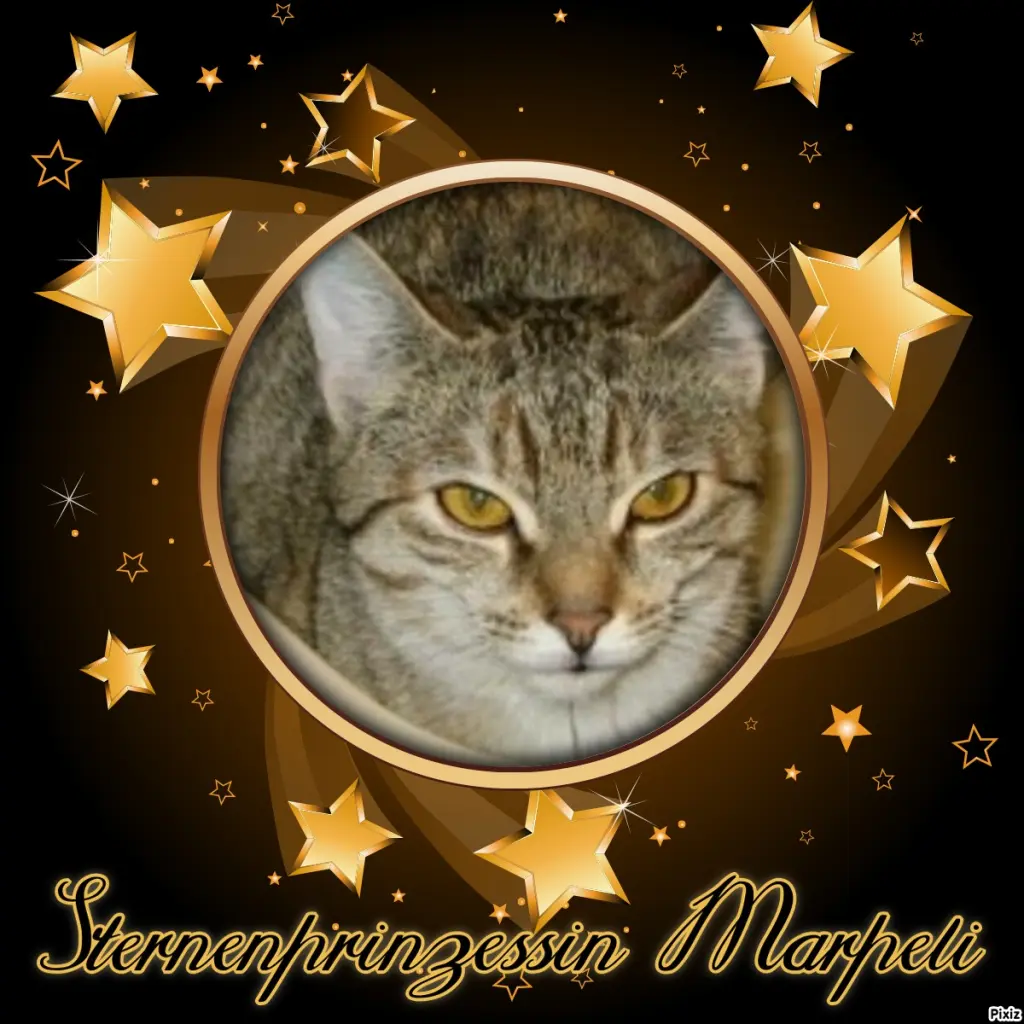 Condolence image of Tanja mit Timmy im Herzen