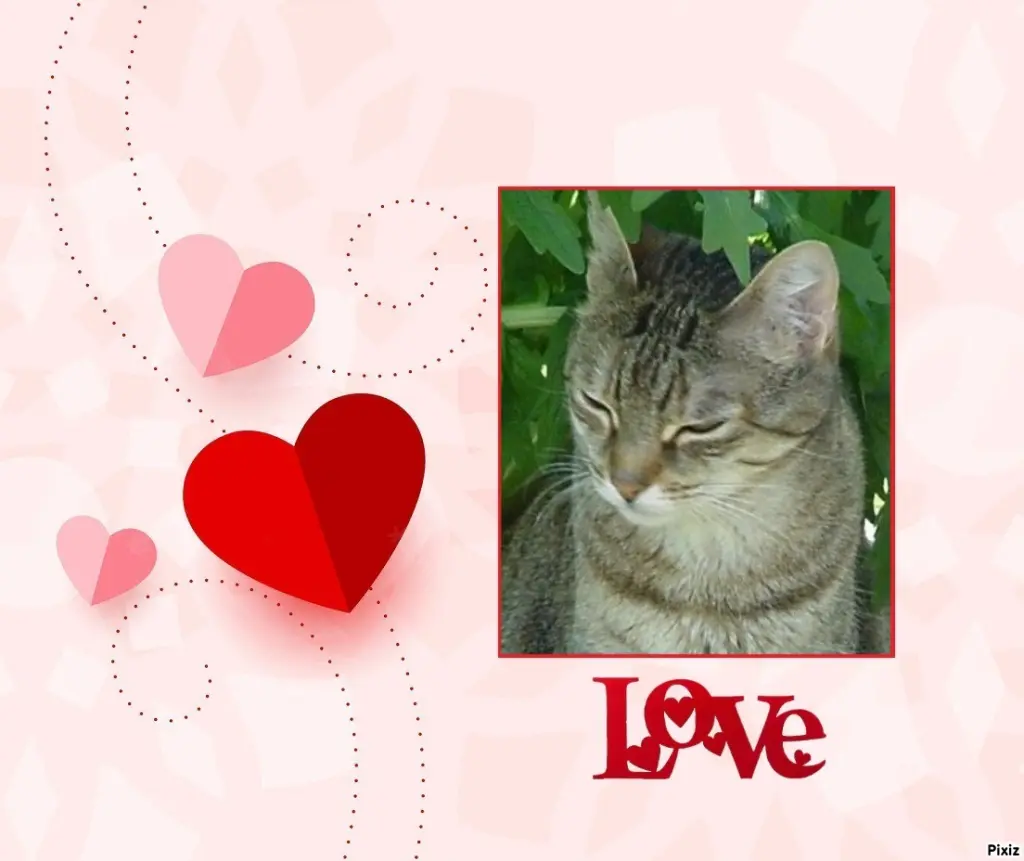 Condolence image of Sternchenpost ⭐