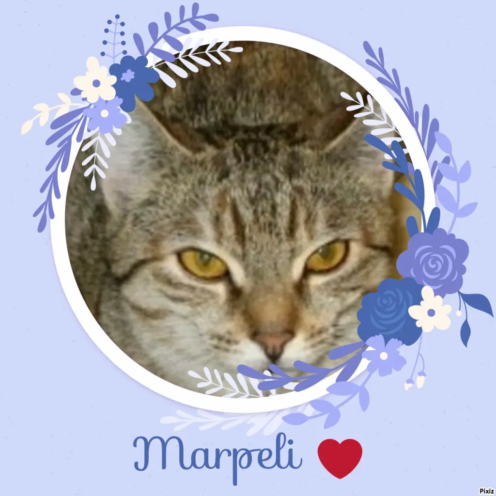 Condolence image of Tanja mit Timmy im Herzen