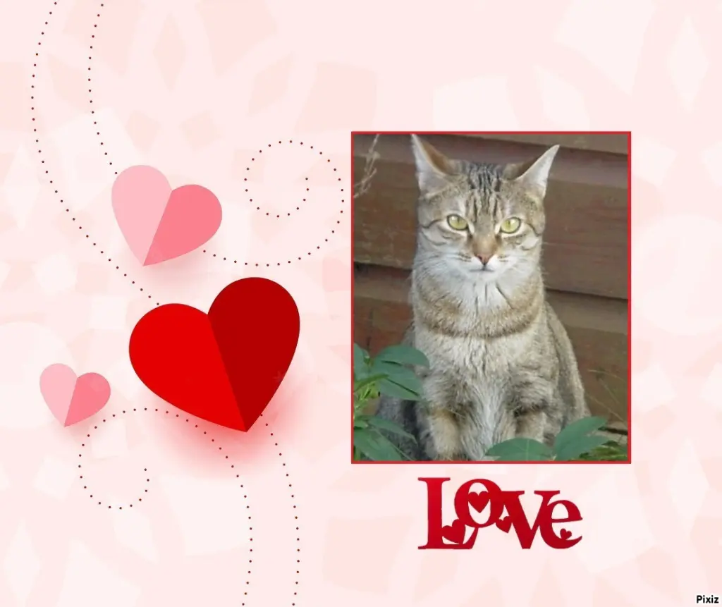 Condolence image of Patricia mit Bunny ❤️ 