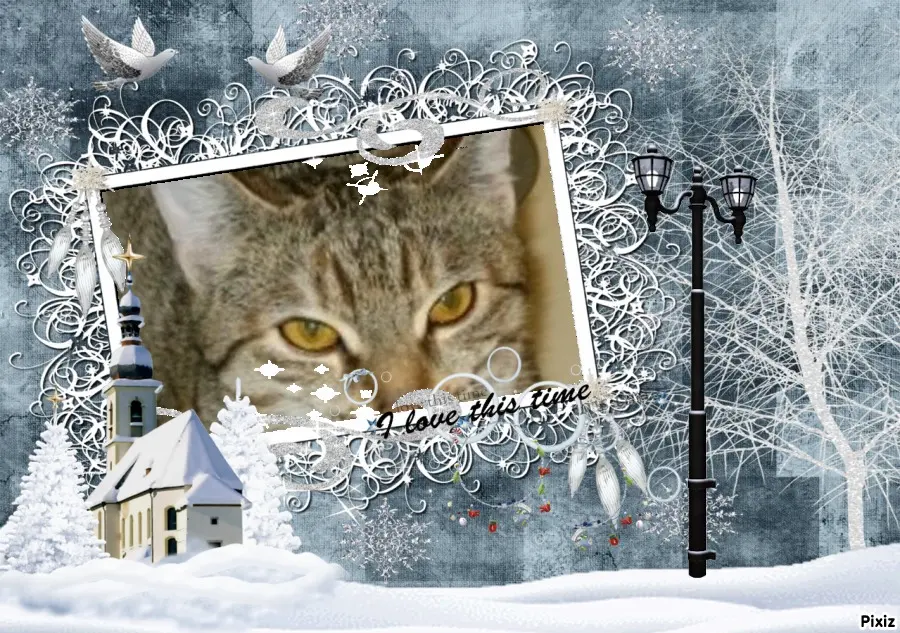 Condolence image of Tanja mit Timmy im Herzen 